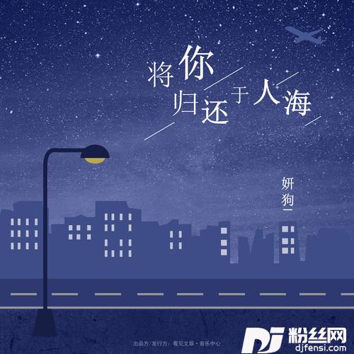 将你归还于人海的专辑