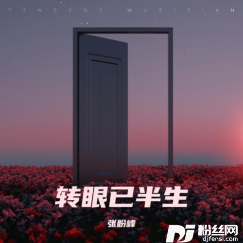 转眼已半生cover:安儿陈