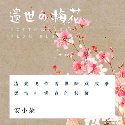 遗世梅花