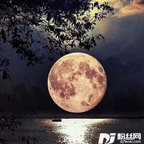水调歌头·明月几时有的专辑