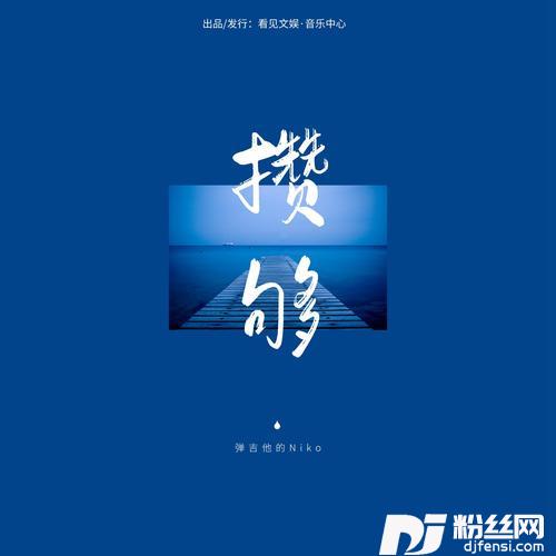 攒够的专辑