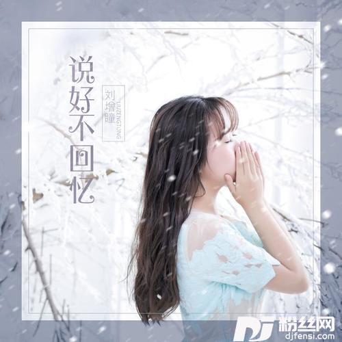 我是真的爱过你的专辑