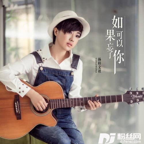 如果可以忘了你DJheap九天版