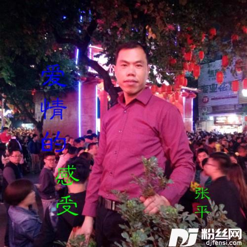 爱情的感受的专辑