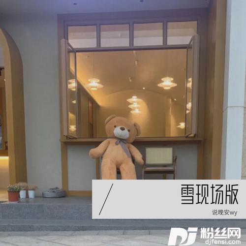 雪Distance说晚安wyremix