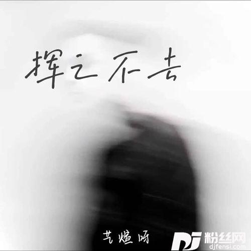 挥之不去的专辑