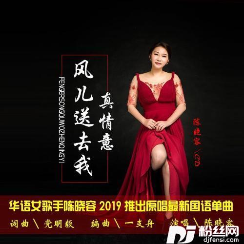 风儿送去我真情意