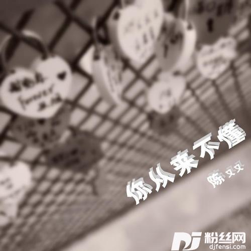 你从来不懂