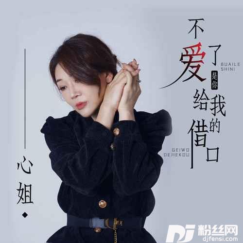 不爱了是你给我的借口的专辑