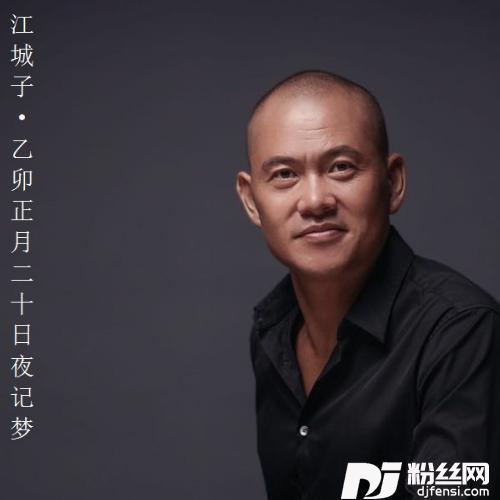 江城子·乙卯正月二十日夜记梦