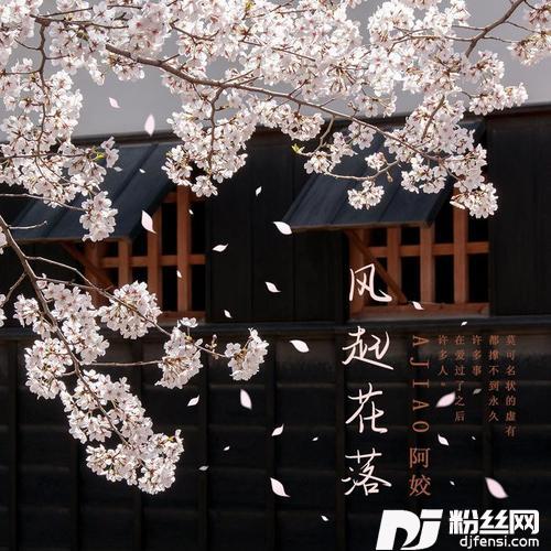 风起花落