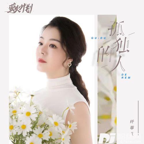 孤独的人DJ版的专辑