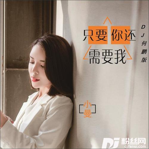 只要你还需要我DJ何鹏版