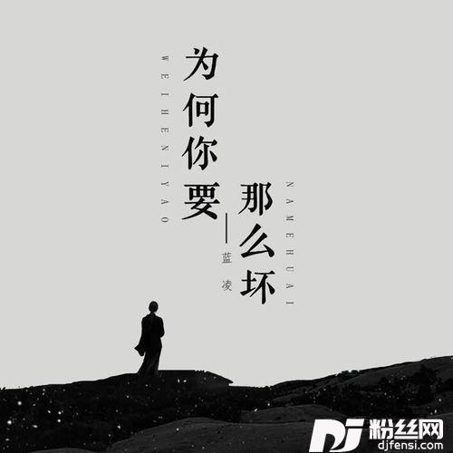 为何你要那么坏DJ可乐版