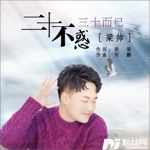 二十不惑三十而已DJ何鹏版