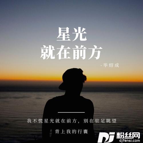 星光就在前方cover:Au的专辑图片