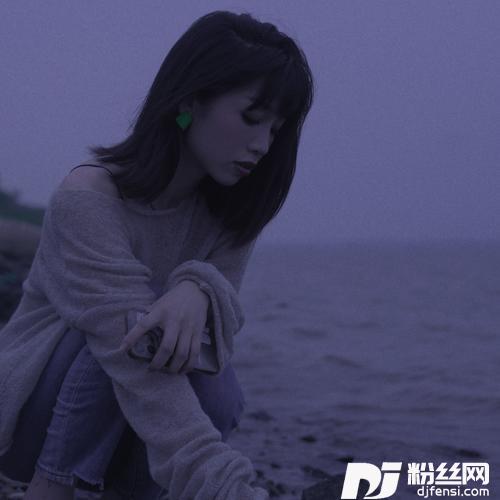 感官先生（烟嗓女声）cover:刘凤瑶cover:孙慧子的专辑