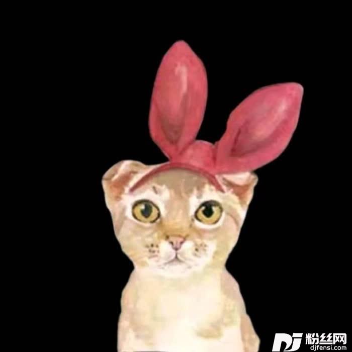 平遥谣cover:赵照的专辑
