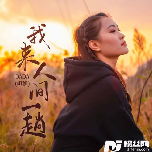 我来人间一趟