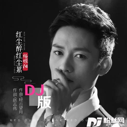 红尘醉红尘累（DJ版）