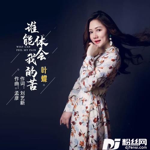 谁能体会我的苦