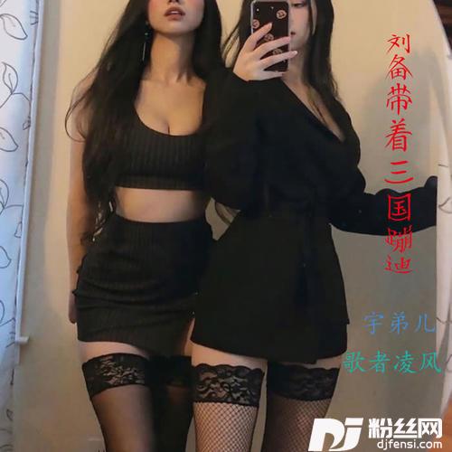 刘皇叔徐州蹦迪抖音DJ版