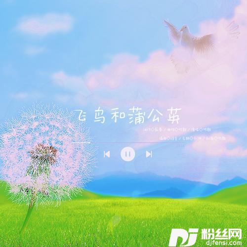 飞鸟和蒲公英的专辑