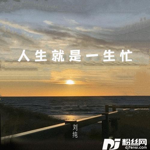 人生就是一生忙的专辑