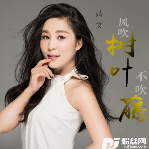 风吹树叶不吹藤