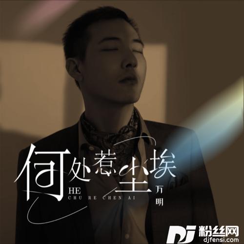何处惹尘埃