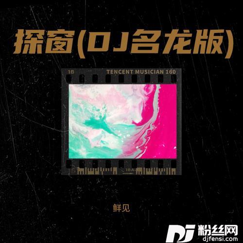 探窗鲜见remix的专辑