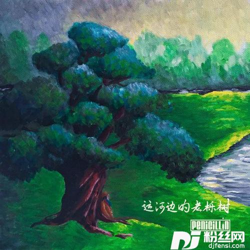 运河边的老栎树