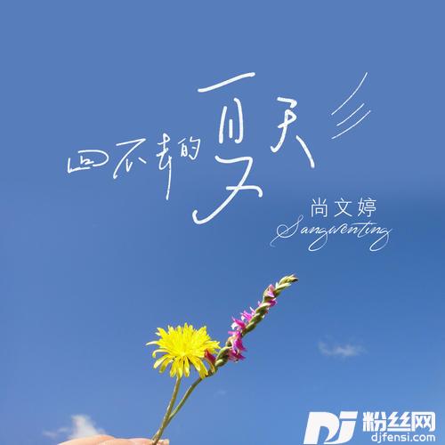 回不去的夏天