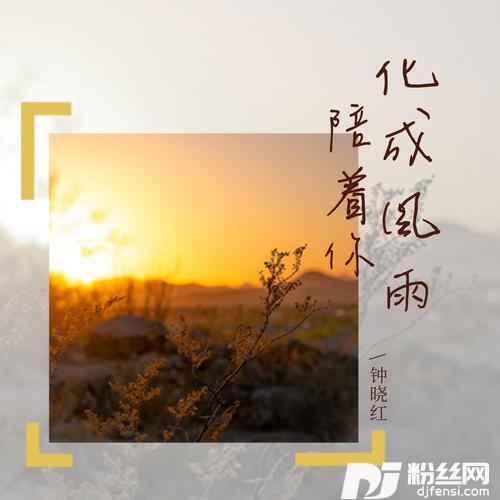 化成风雨陪着你