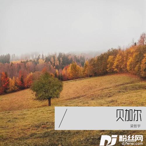 贝加尔湖畔cover:李健