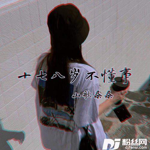 十七八岁不懂事