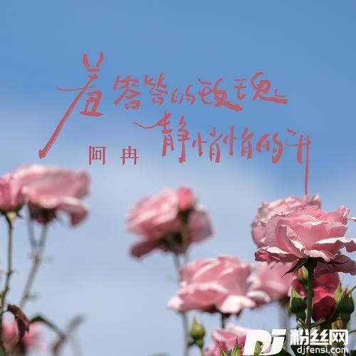 羞答答的玫瑰静悄悄的开虚哥版