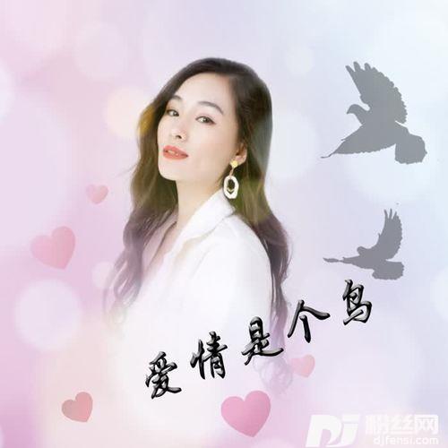 爱情是个鸟