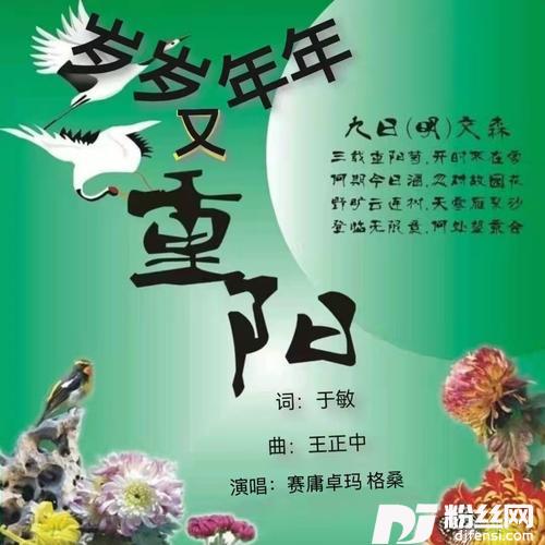 岁岁年年又重阳对唱版