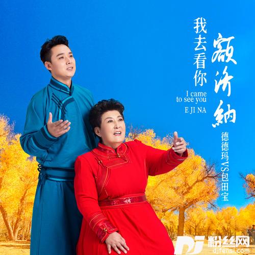 我去看你额济纳DJ大金版