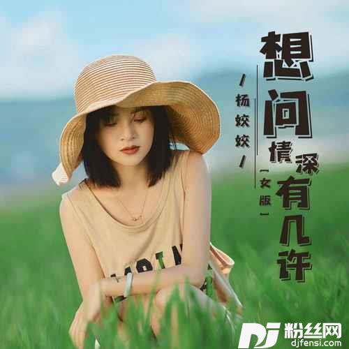想问情深有几许女版的专辑