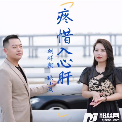 疼惜入心肝张小凤合唱版