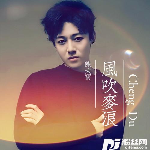 风吹麦浪cover:李健