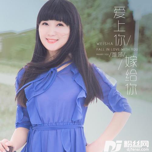 爱上你嫁给你的专辑