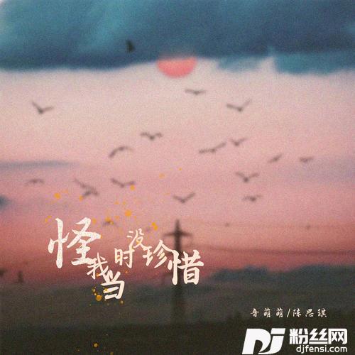 怪我当时没珍惜DJ可乐版