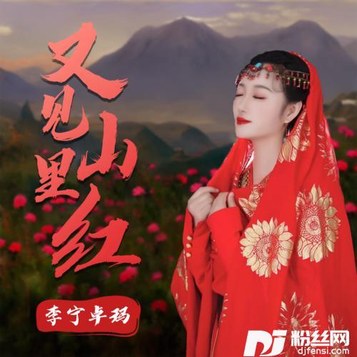 又见山里红的专辑