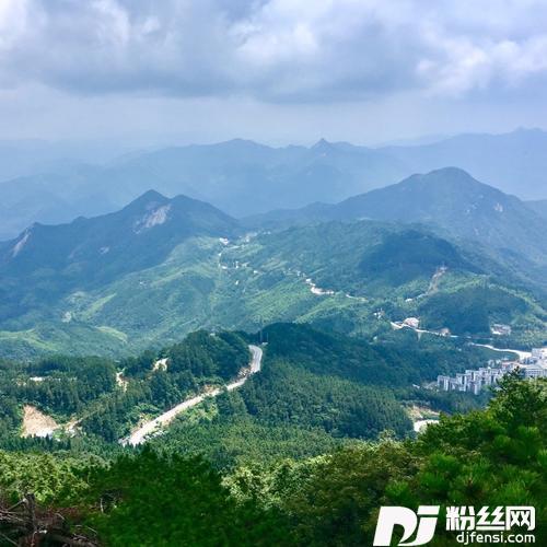 雪中情cover:冷漠