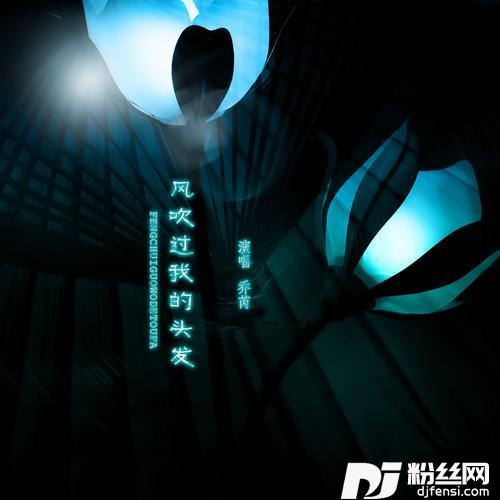 风吹过我的头发