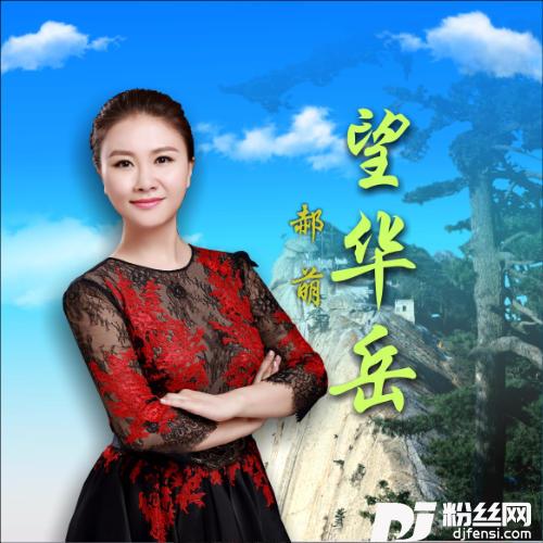 望华岳的专辑