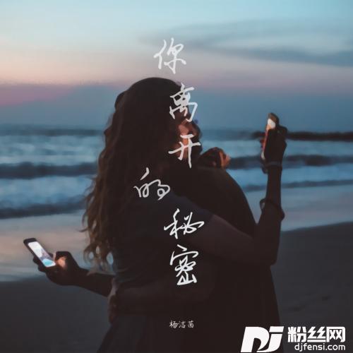 你离开的秘密